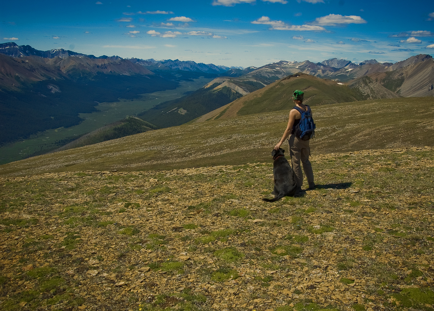 Willmore Wilderness Park, Rocky Mountains, Alberta, Canada